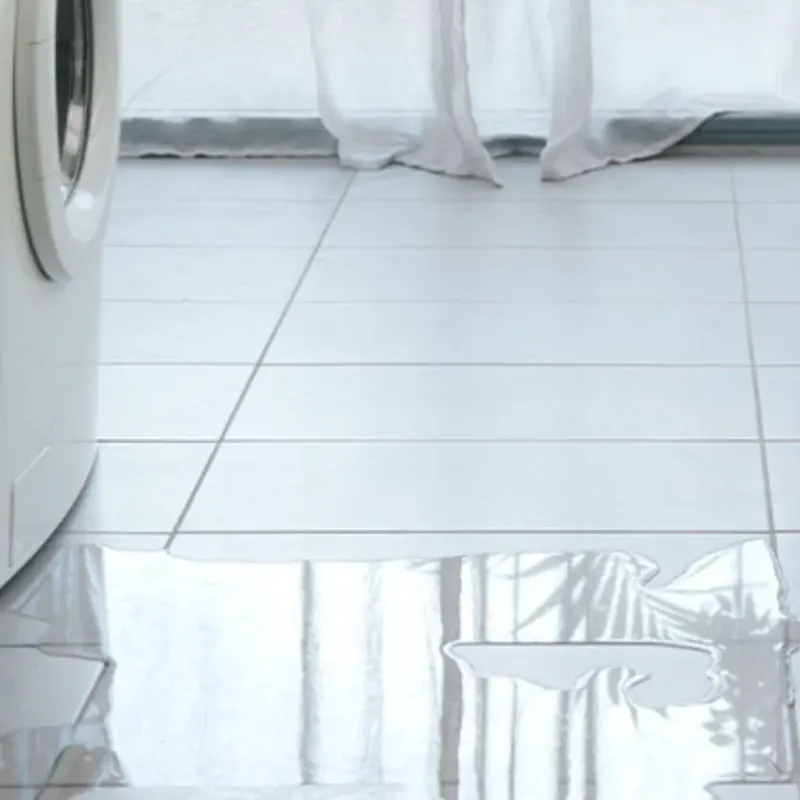 Appliance Leak Cleanup in Black Diamond, FL