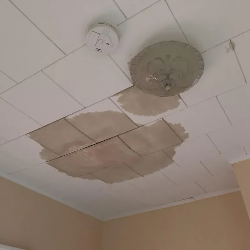 Ceiling Water Damage Repair in Black Diamond, FL