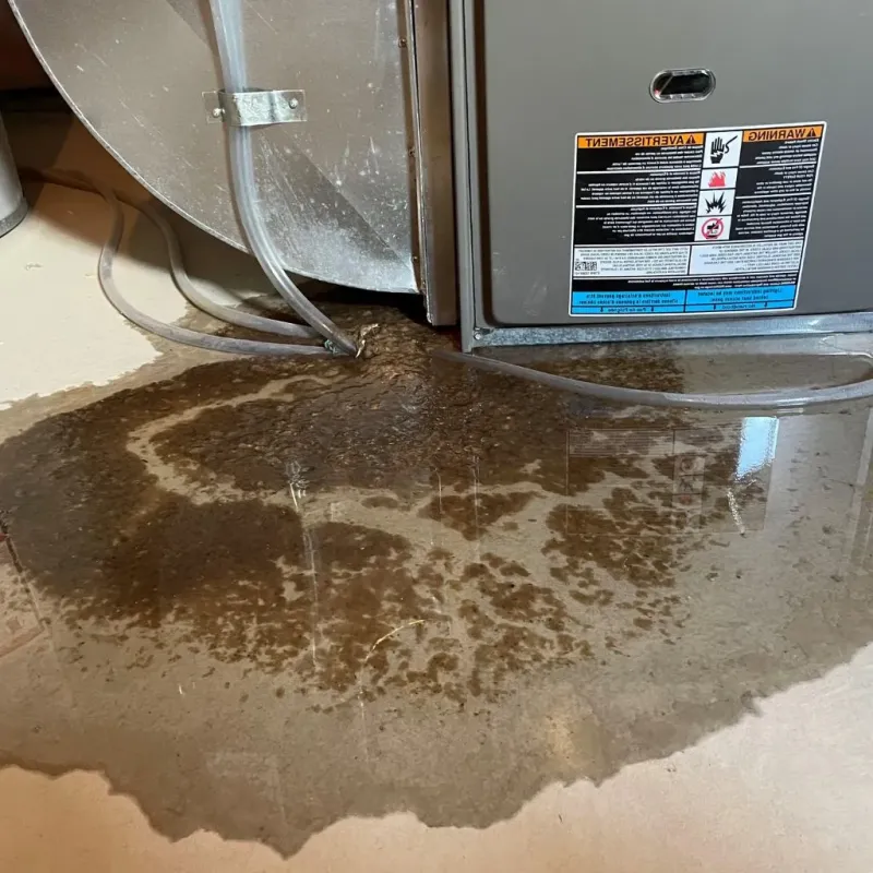 Pipe Burst and Leak Restoration in Black Diamond, FL