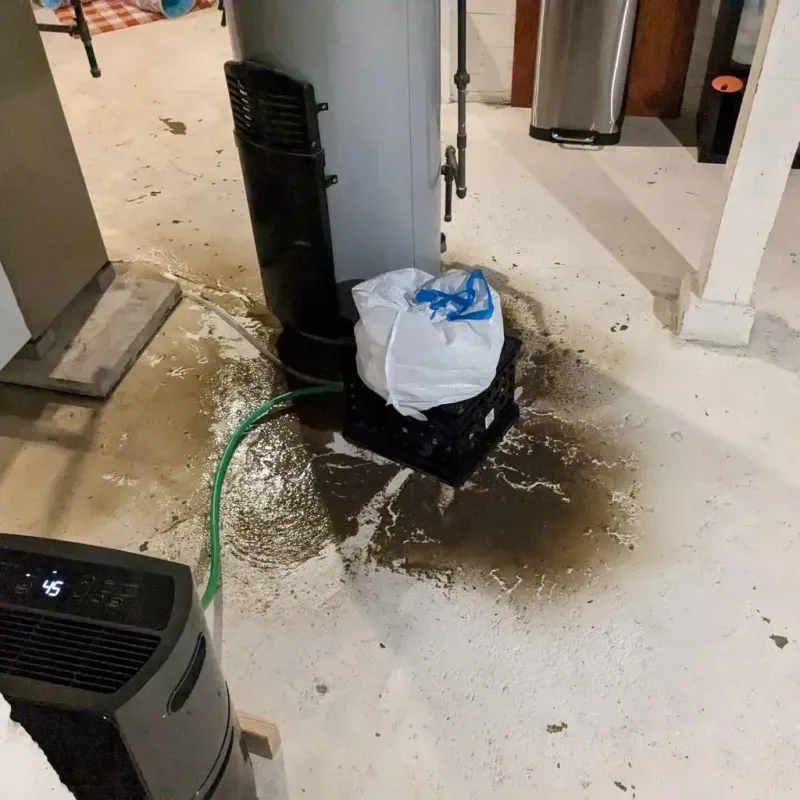 Sewage Backup Cleanup Service in Black Diamond, FL
